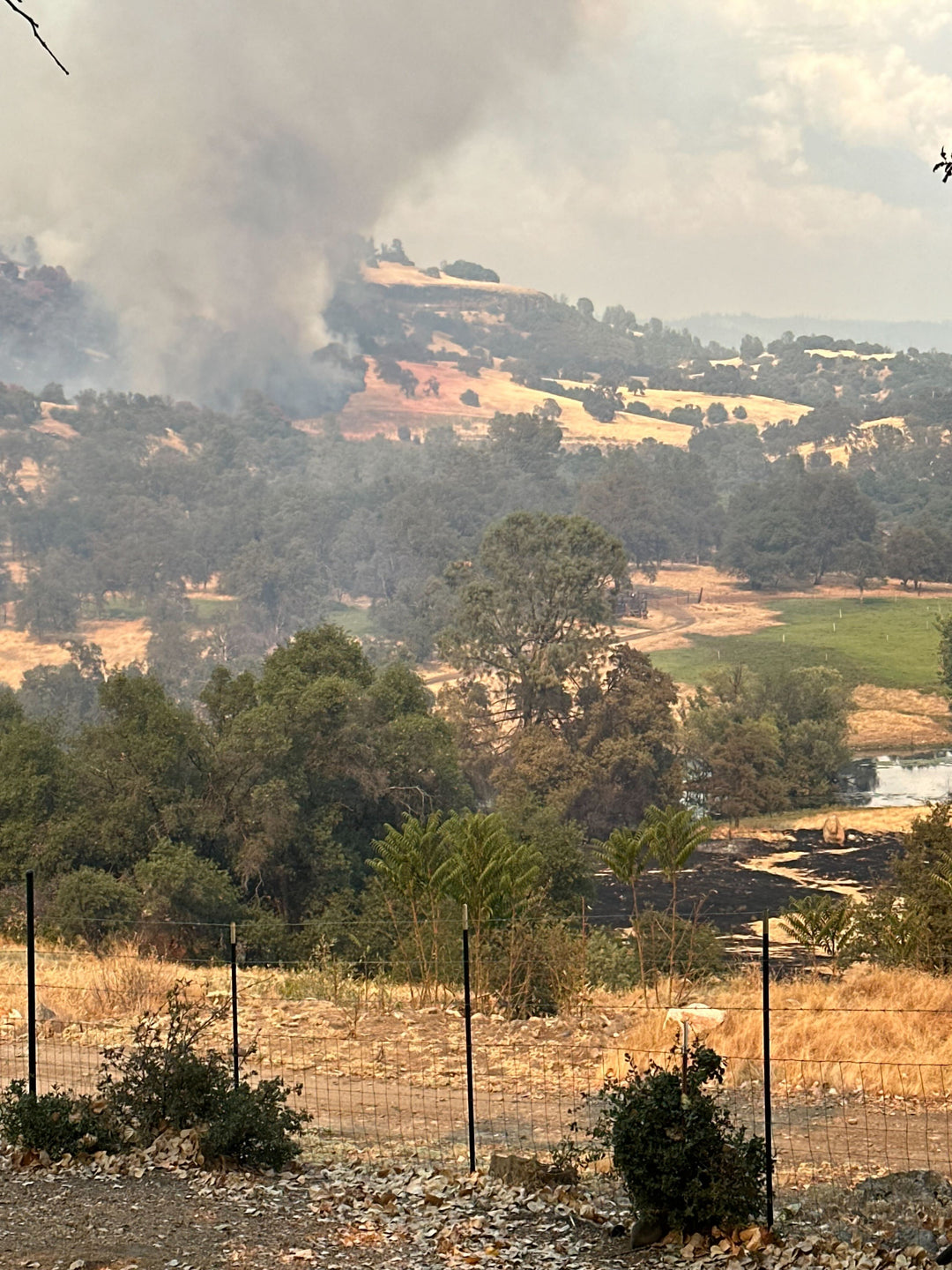 A Close Call: Fire at Chalcedon