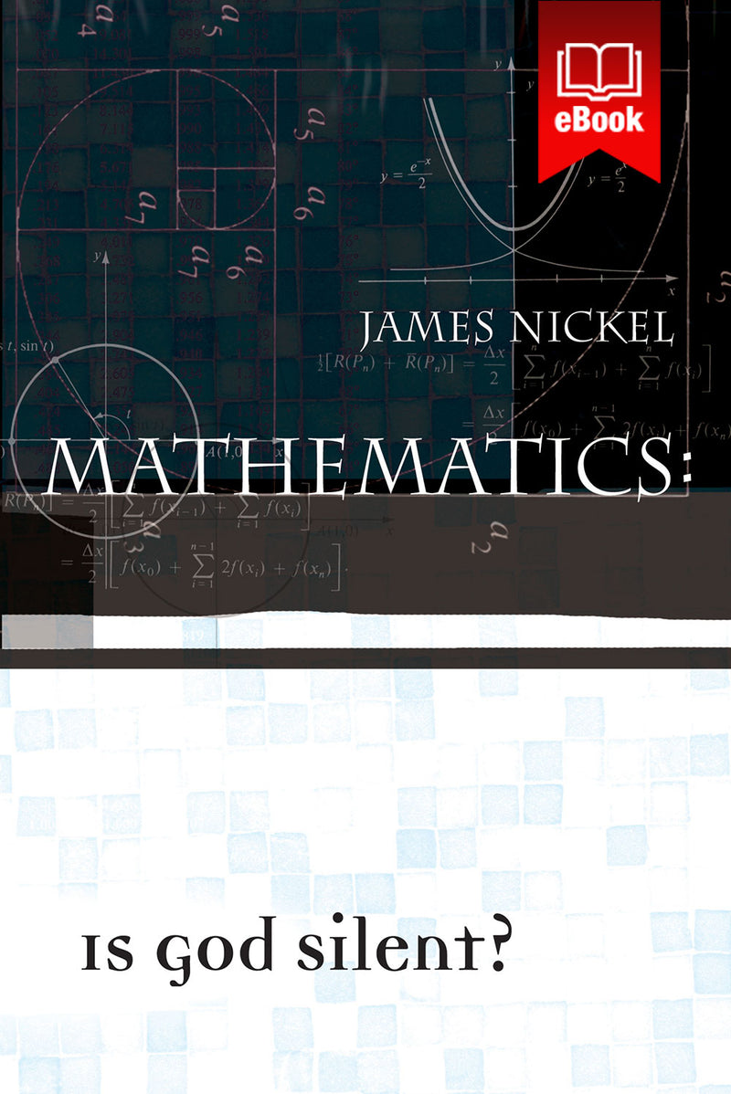 Mathematics: Is God Silent? (ebook)